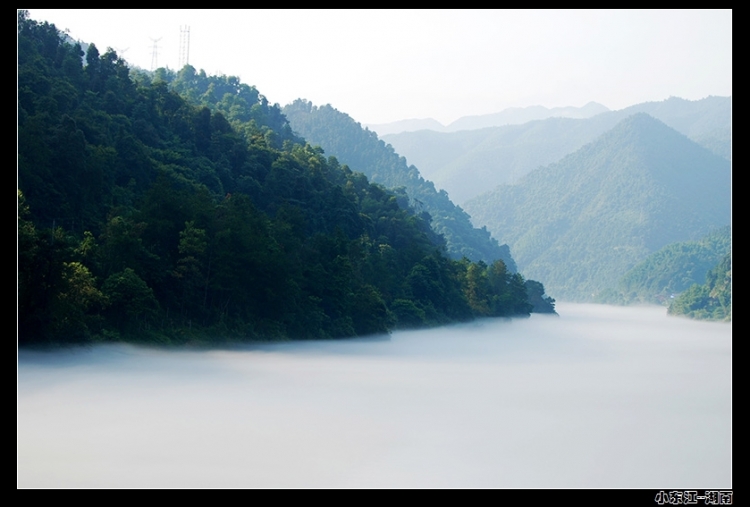 DSC_0770.jpg