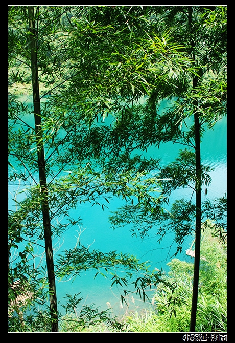 DSC_0317.jpg