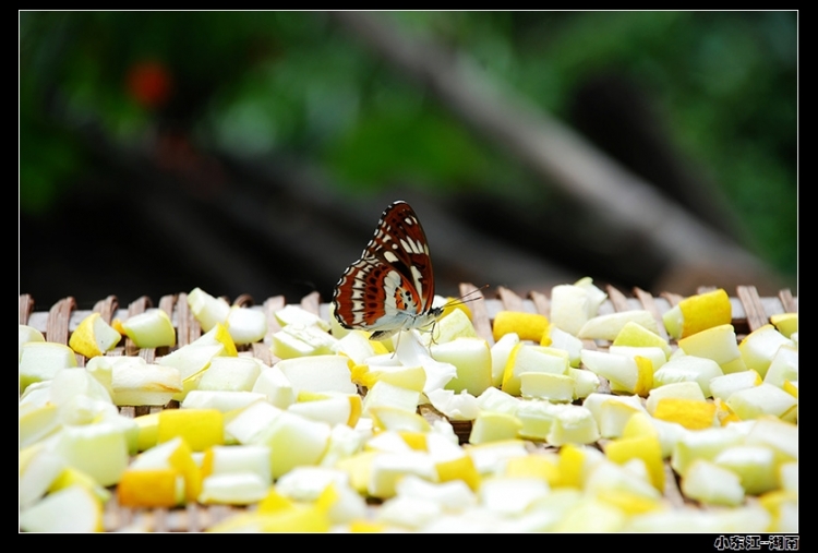 DSC_0327.jpg