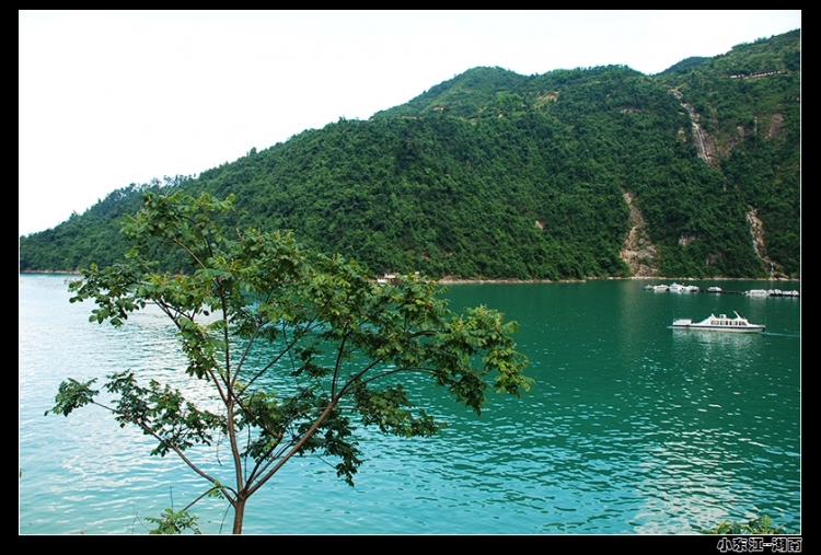 DSC_0377.jpg