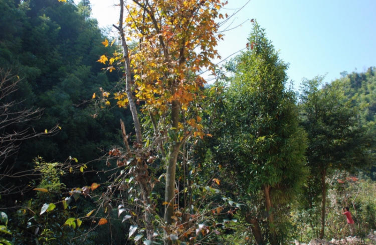 DSC_4519.jpg