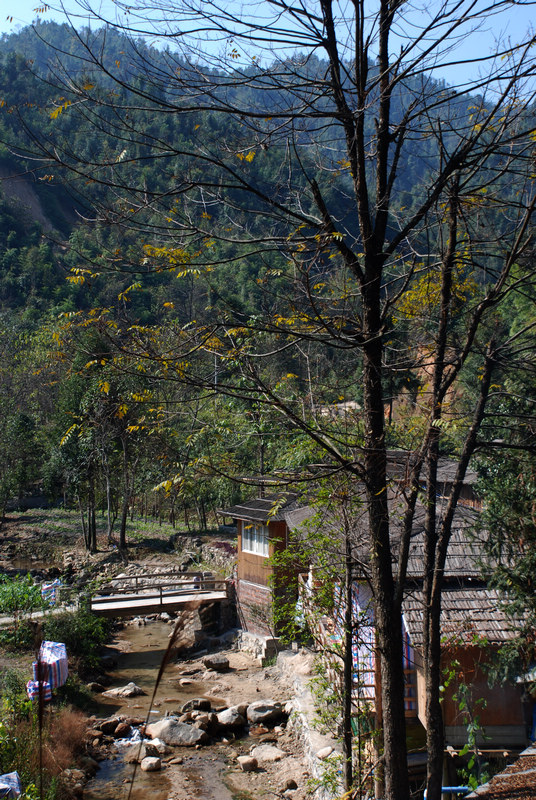 DSC_4510.jpg