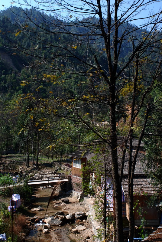 DSC_5356.jpg