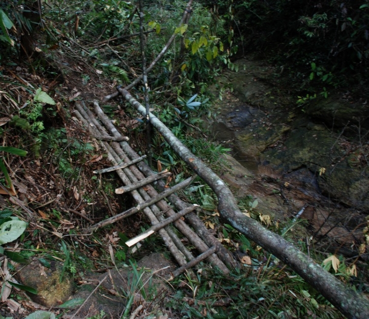 DSC_5379.JPG