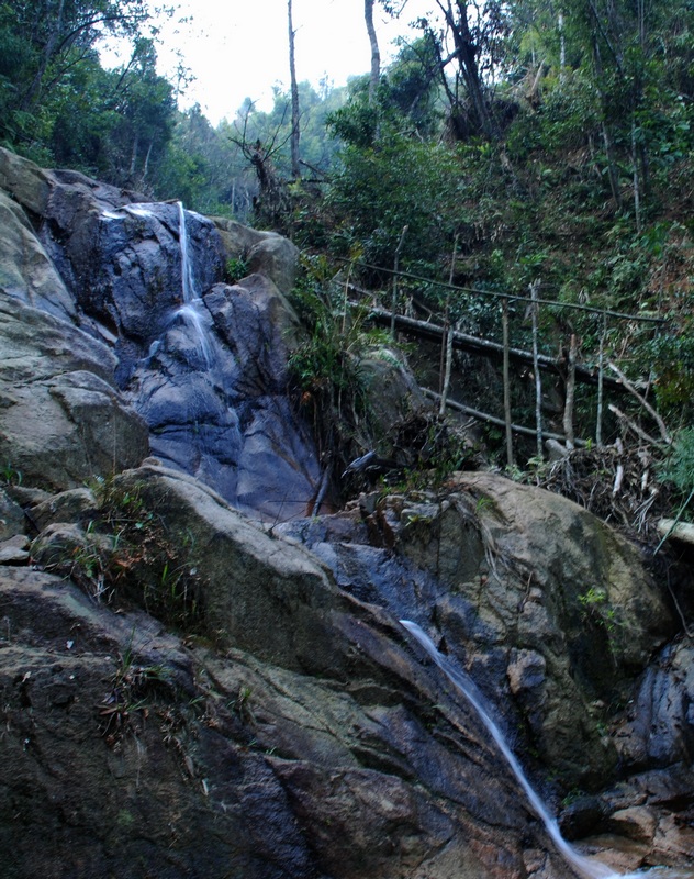 DSC_5381.JPG