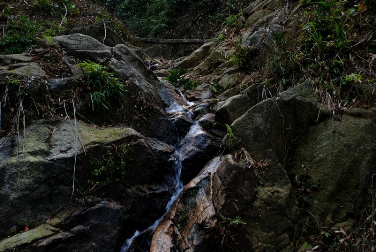 DSC_5391.JPG