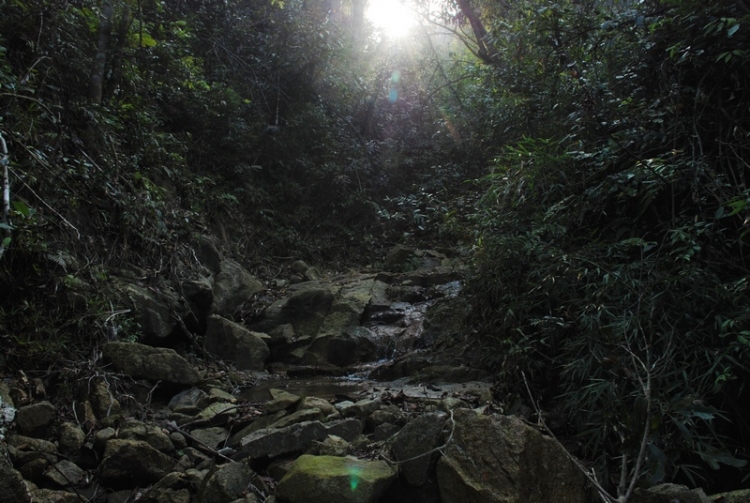 DSC_5430.JPG
