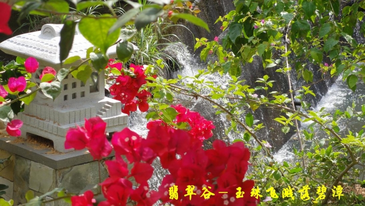 翡翠谷（12）.JPG