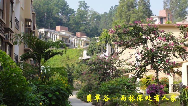 翡翠谷（13）.JPG