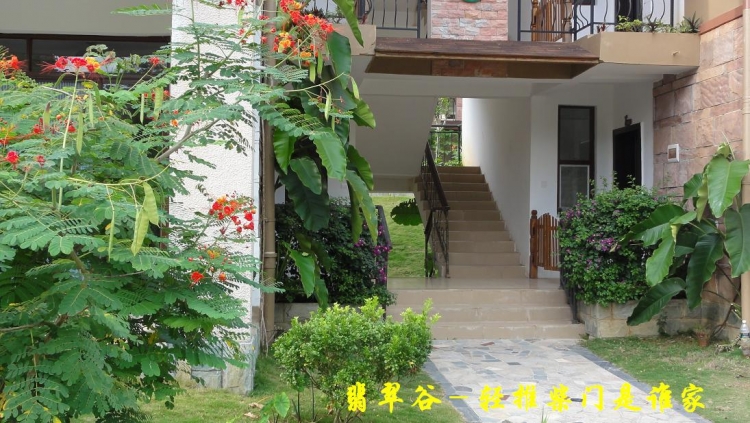 翡翠谷（16）.JPG
