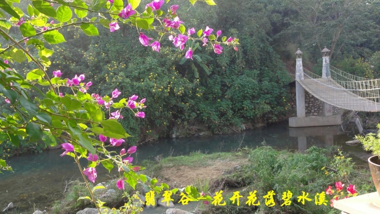 翡翠谷（18）.JPG