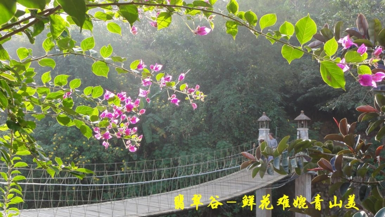翡翠谷（19）.JPG