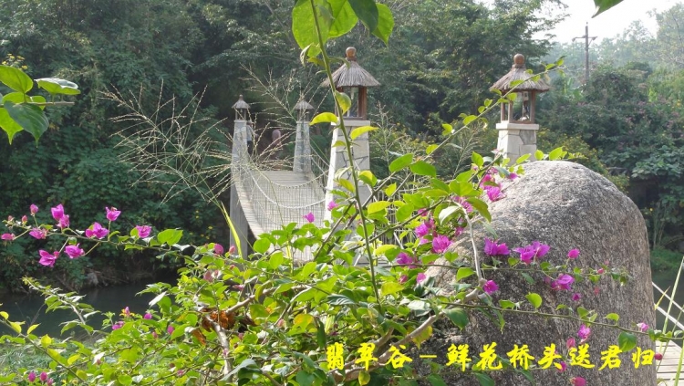 翡翠谷（21）.JPG