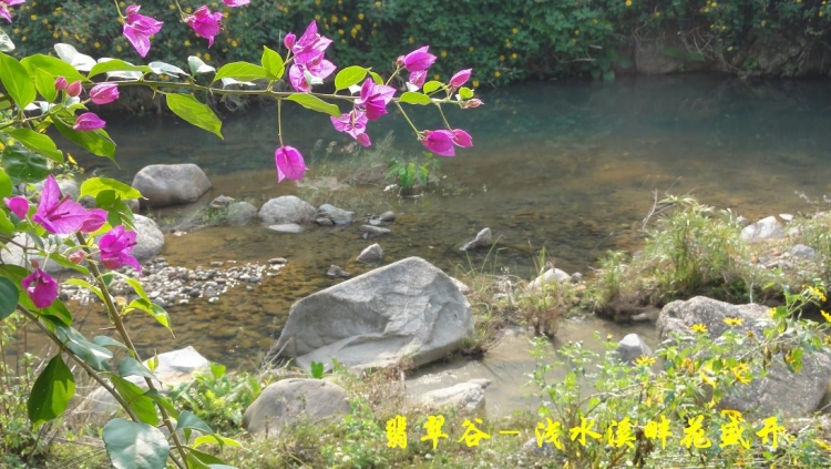 翡翠谷（24）.JPG
