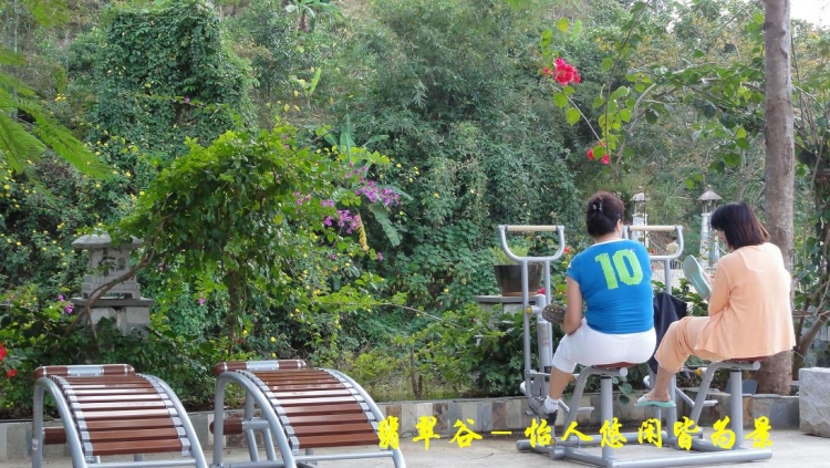 翡翠谷（29）.JPG