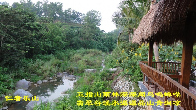 翡翠谷（44）.JPG