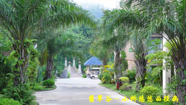 翡翠谷（4）.JPG