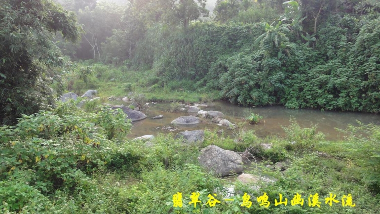 翡翠谷（7）.JPG