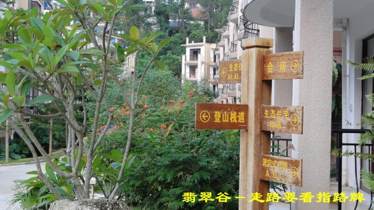 翡翠谷（37）.JPG