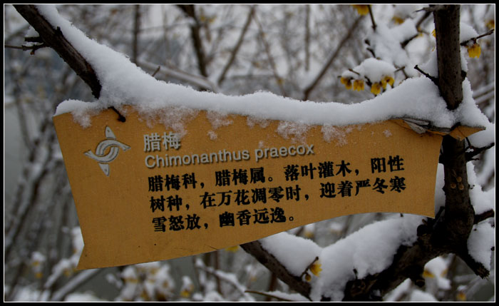 DSC05602.jpg