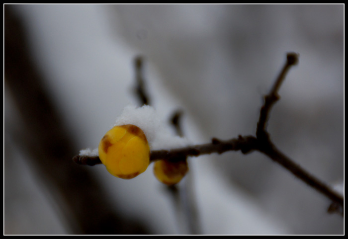DSC05577.jpg