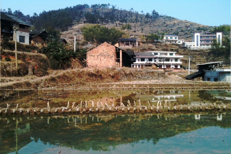 山村小景让城里人向往