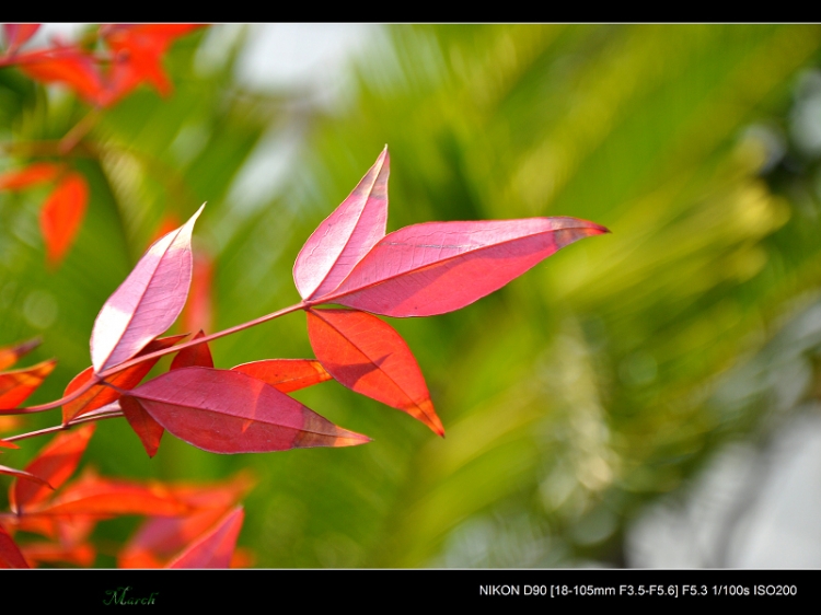 DSC_0107.jpg