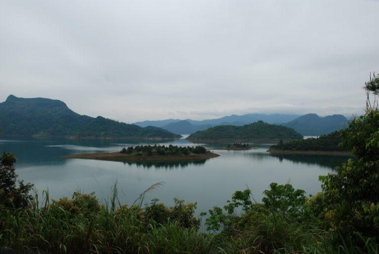 DSC_0105.JPG