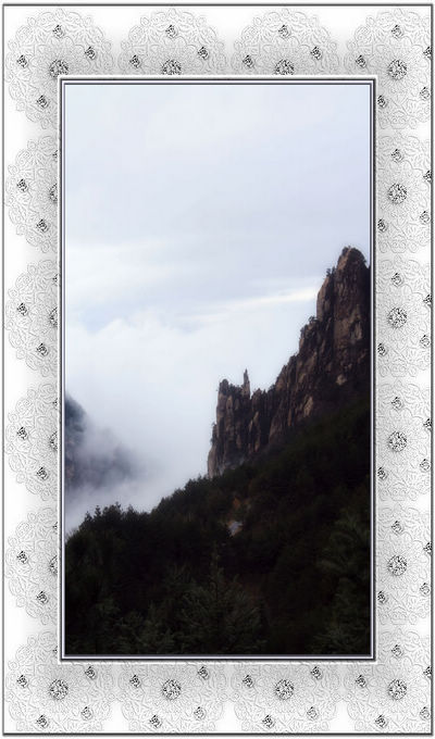 照片 198.jpg