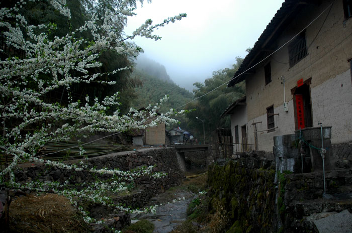 DSC_0132.jpg