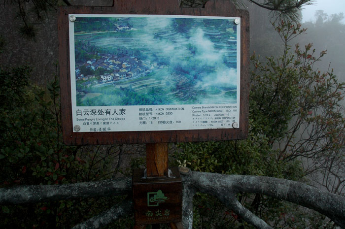 DSC_0230.jpg
