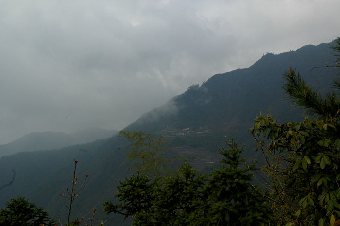 DSC_0315.jpg