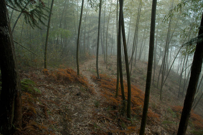 DSC_0249.jpg