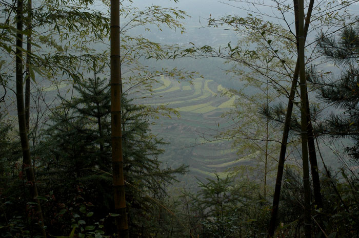 DSC_0256.jpg