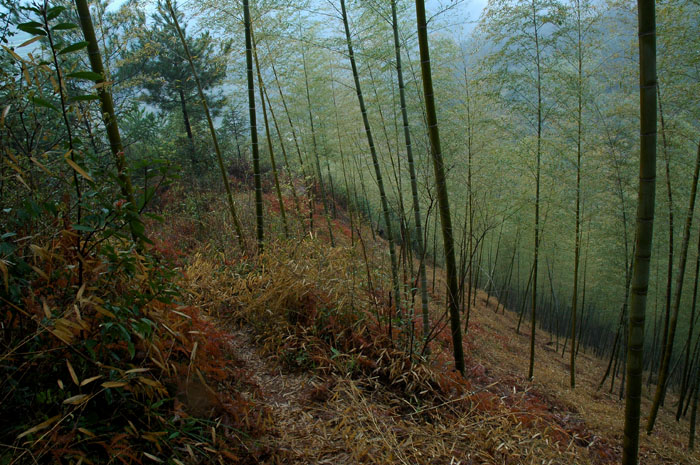 DSC_0279.jpg