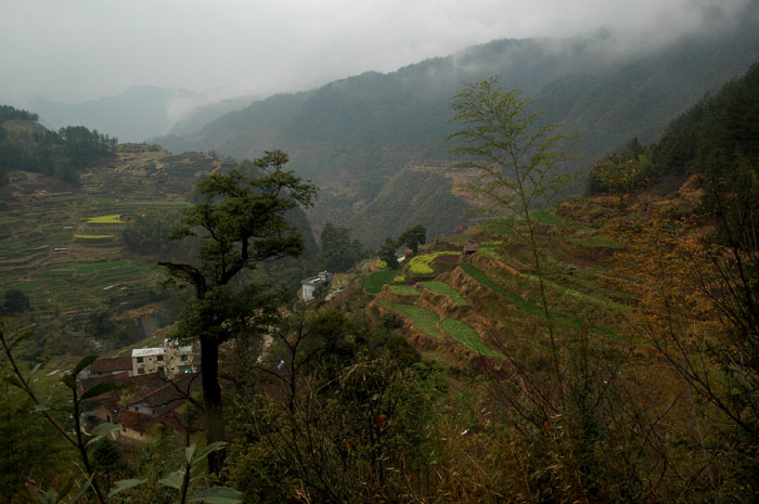 DSC_0304.jpg