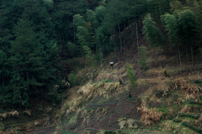 DSC_0308.jpg