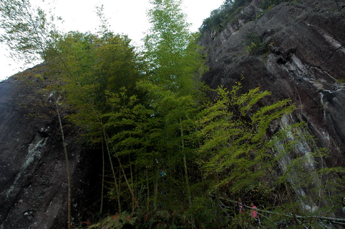 DSC_0316.jpg