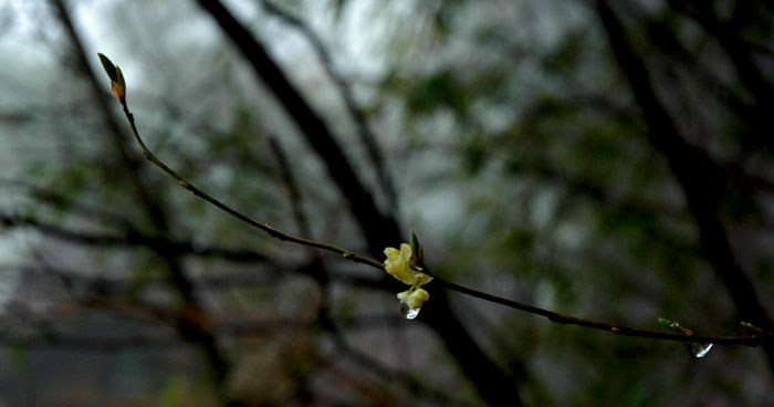 DSC_0246.jpg