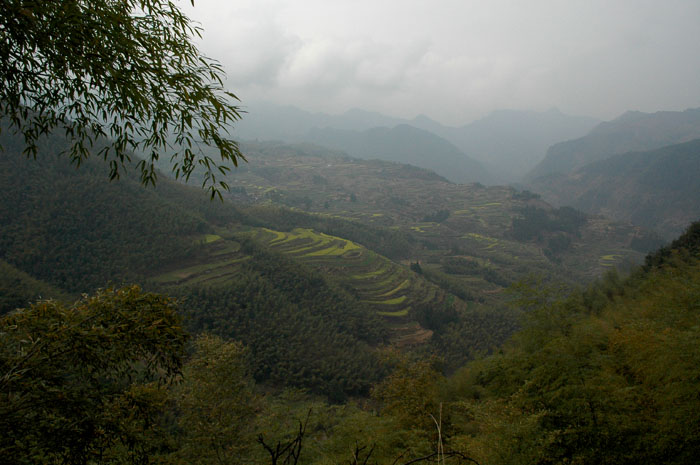 DSC_0329.jpg