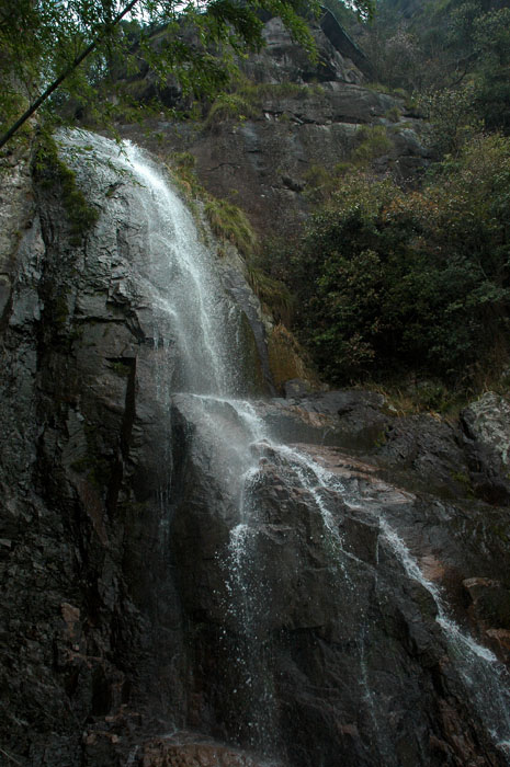 DSC_0333.jpg