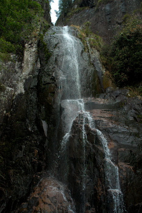 DSC_0334.jpg