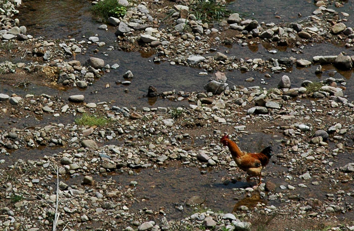 DSC_0016.jpg