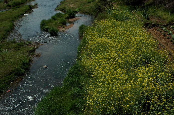 DSC_0029.jpg