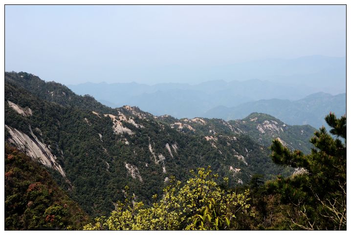 观望龙须山
