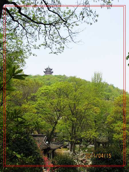 南山5.jpg