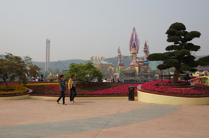 DSC07817.jpg