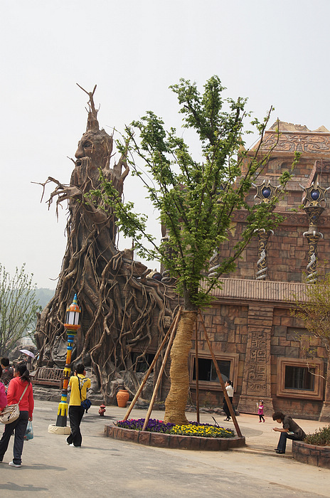 DSC07894.jpg