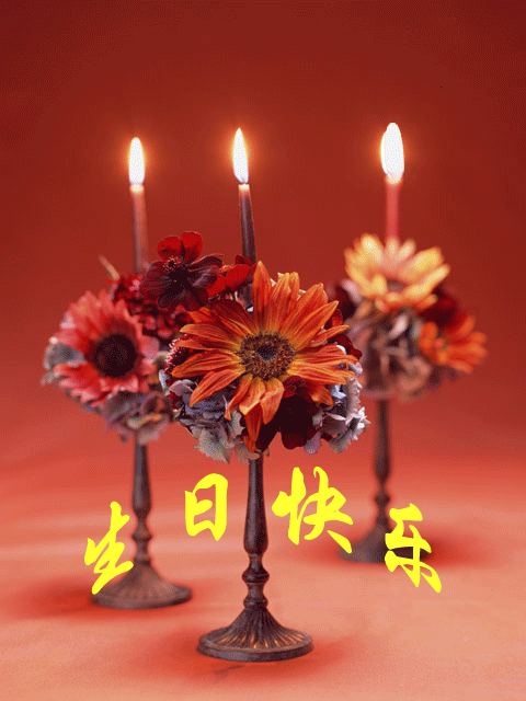 2010070916254325.gif