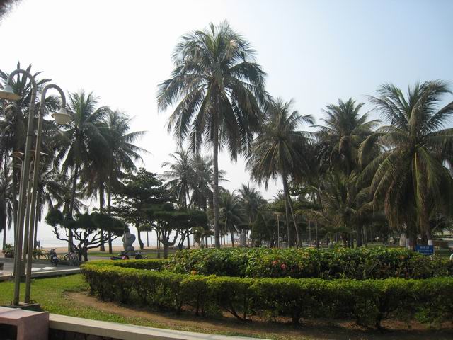 调整大小 IMG_9116.JPG